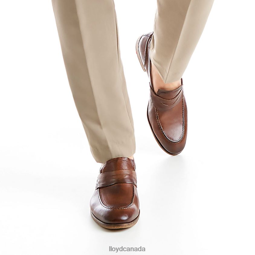 RIPAN LLOYD Men brown R084ZF1348 Shoes