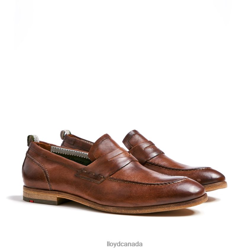 RIPAN LLOYD Men brown R084ZF1348 Shoes