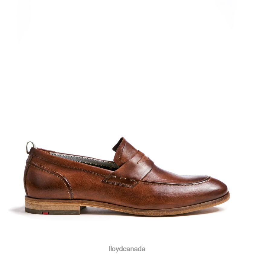 RIPAN LLOYD Men brown R084ZF1348 Shoes