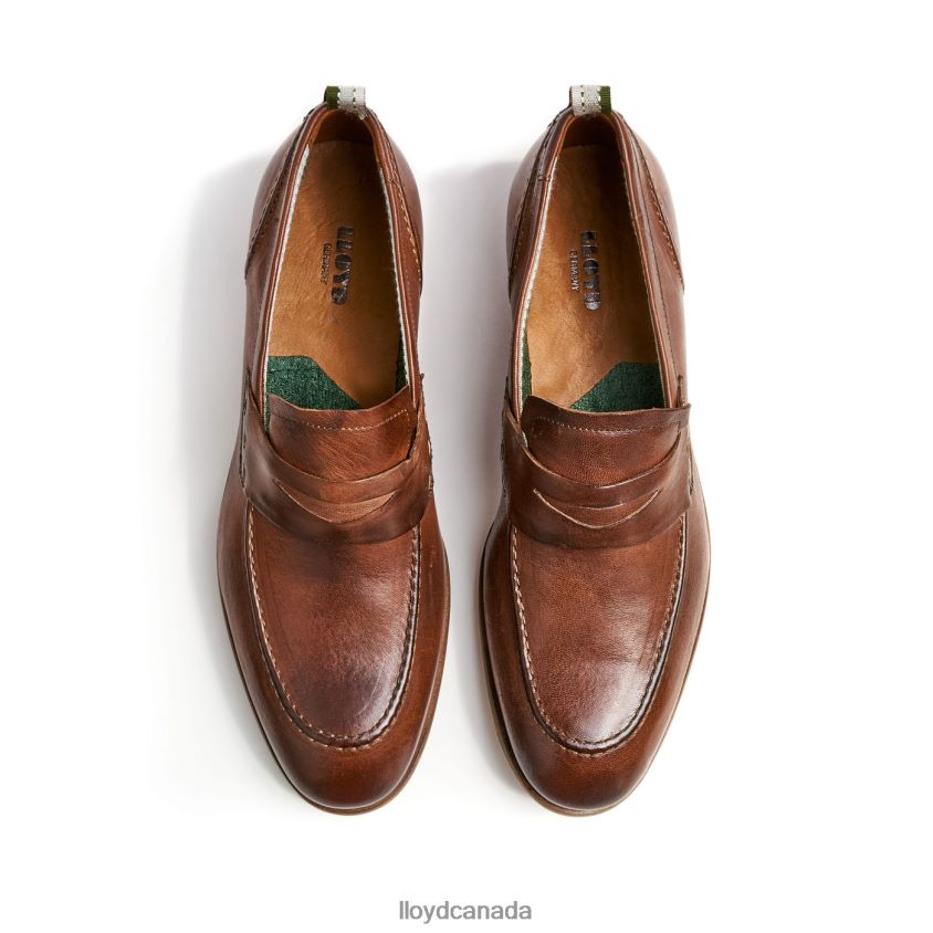 RIPAN LLOYD Men brown R084ZF1348 Shoes