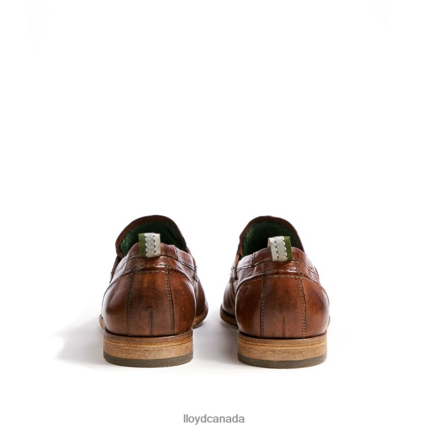 RIPAN LLOYD Men brown R084ZF1348 Shoes