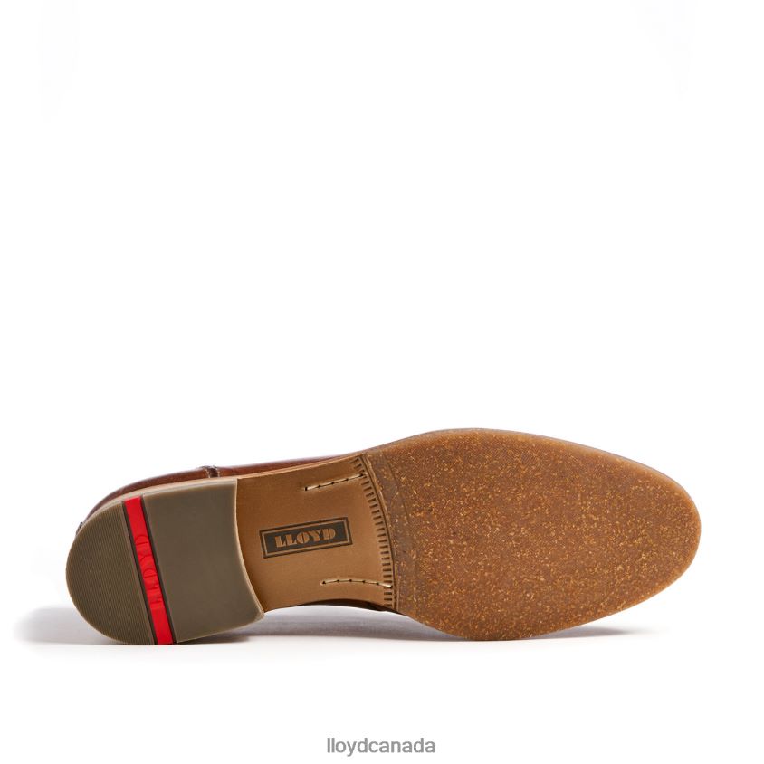 RIPAN LLOYD Men brown R084ZF1348 Shoes
