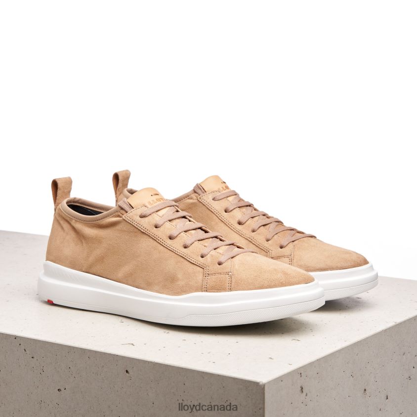 AARO LLOYD Men brown R084ZF421 Shoes