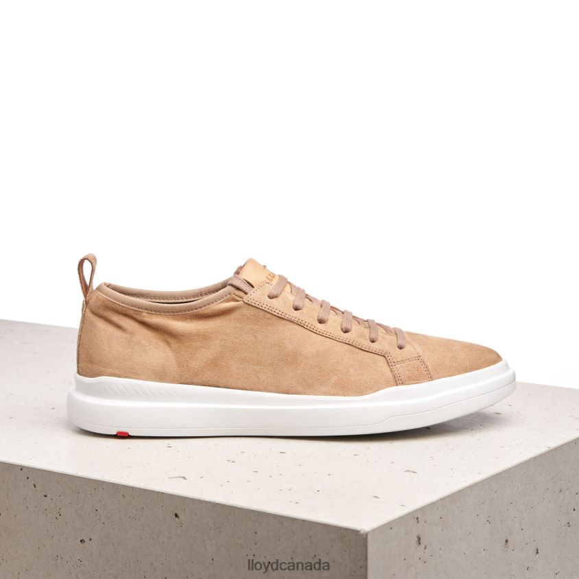 AARO LLOYD Men brown R084ZF421 Shoes