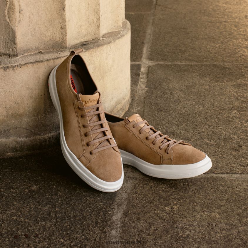 AARO LLOYD Men brown R084ZF421 Shoes