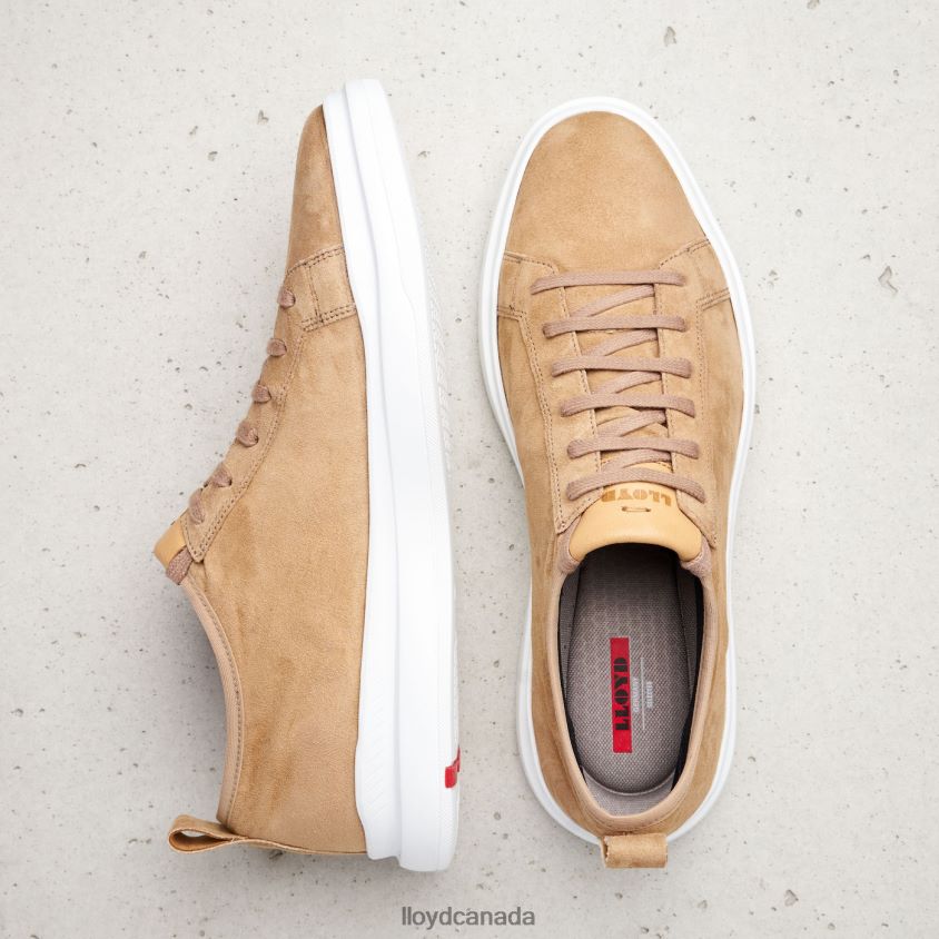 AARO LLOYD Men brown R084ZF421 Shoes