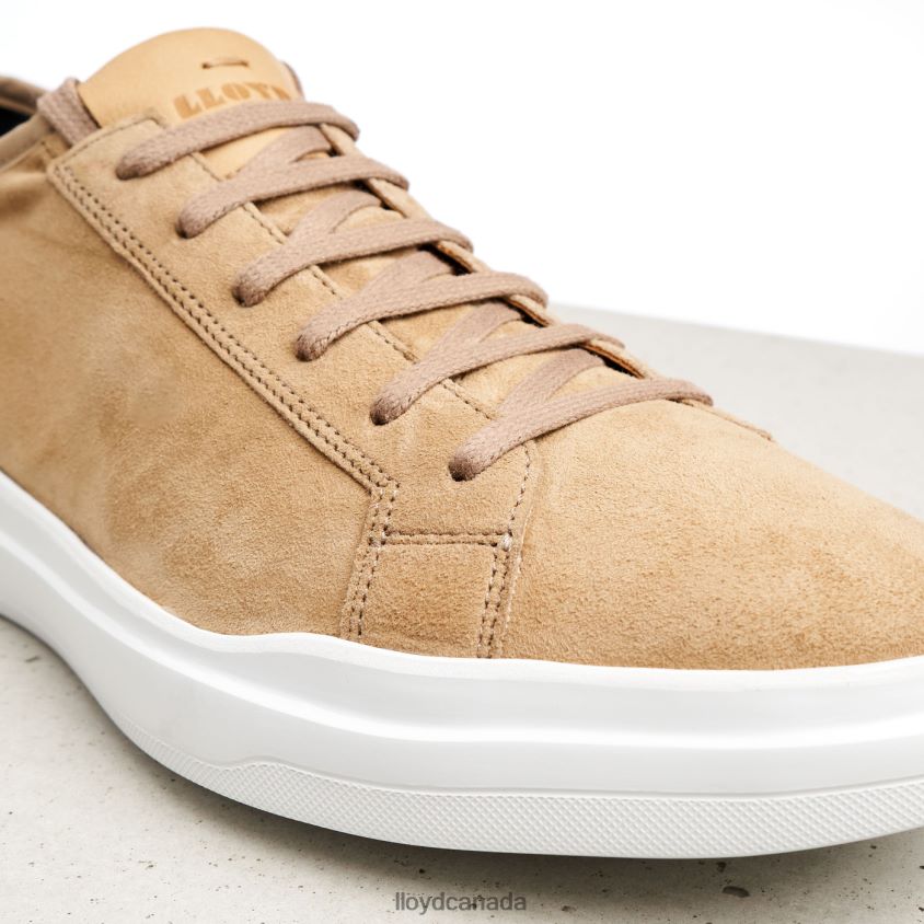 AARO LLOYD Men brown R084ZF421 Shoes