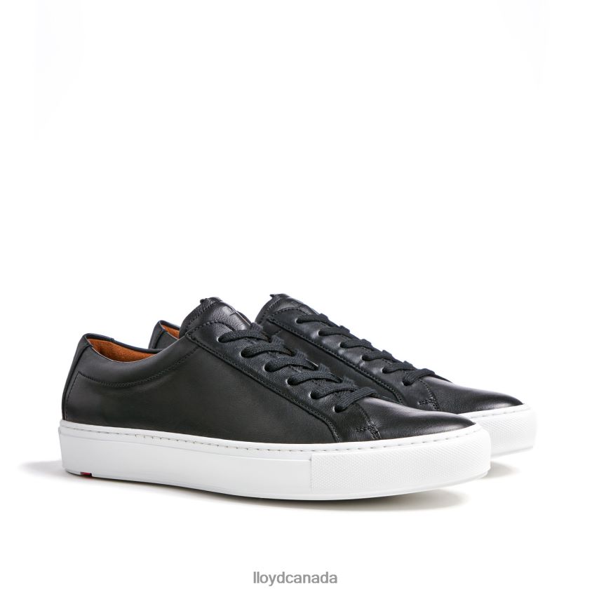 ABEL LLOYD Men black R084ZF318 Shoes