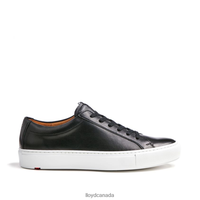 ABEL LLOYD Men black R084ZF318 Shoes