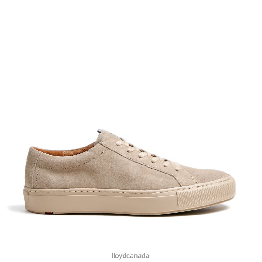 ABEL LLOYD Men grey R084ZF417 Shoes