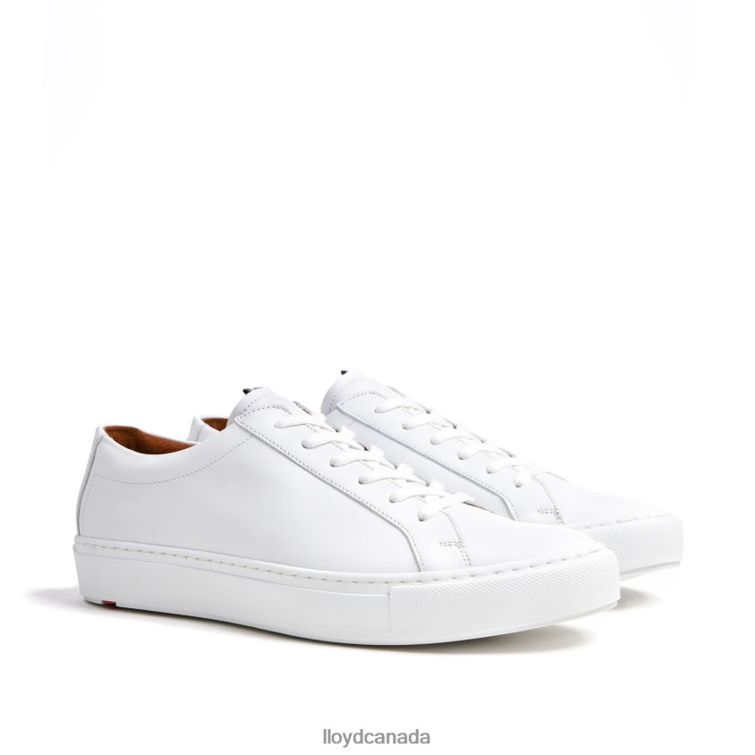 ABEL LLOYD Men white R084ZF289 Shoes