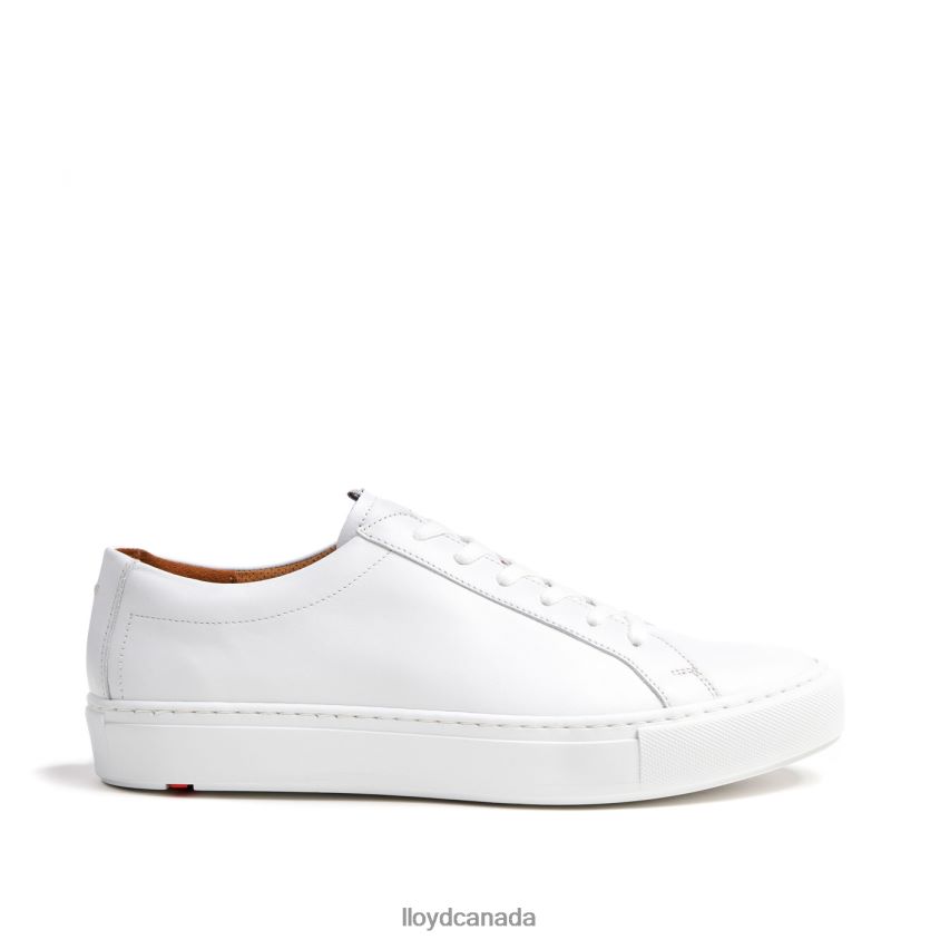 ABEL LLOYD Men white R084ZF289 Shoes