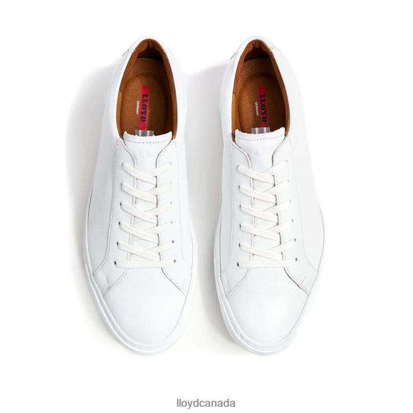 ABEL LLOYD Men white R084ZF289 Shoes