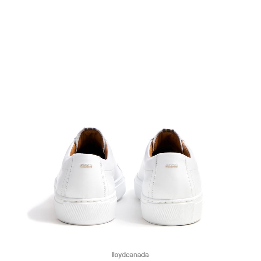 ABEL LLOYD Men white R084ZF289 Shoes