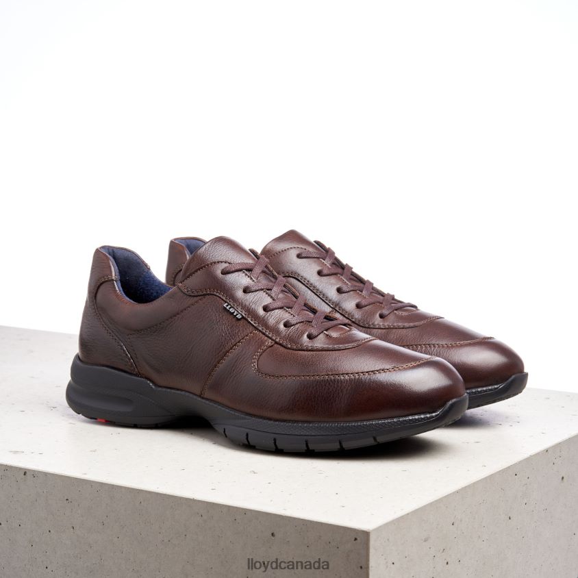 ABERDEEN LLOYD Men brown R084ZF387 Shoes