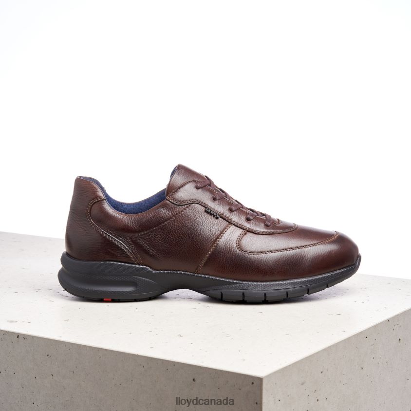 ABERDEEN LLOYD Men brown R084ZF387 Shoes