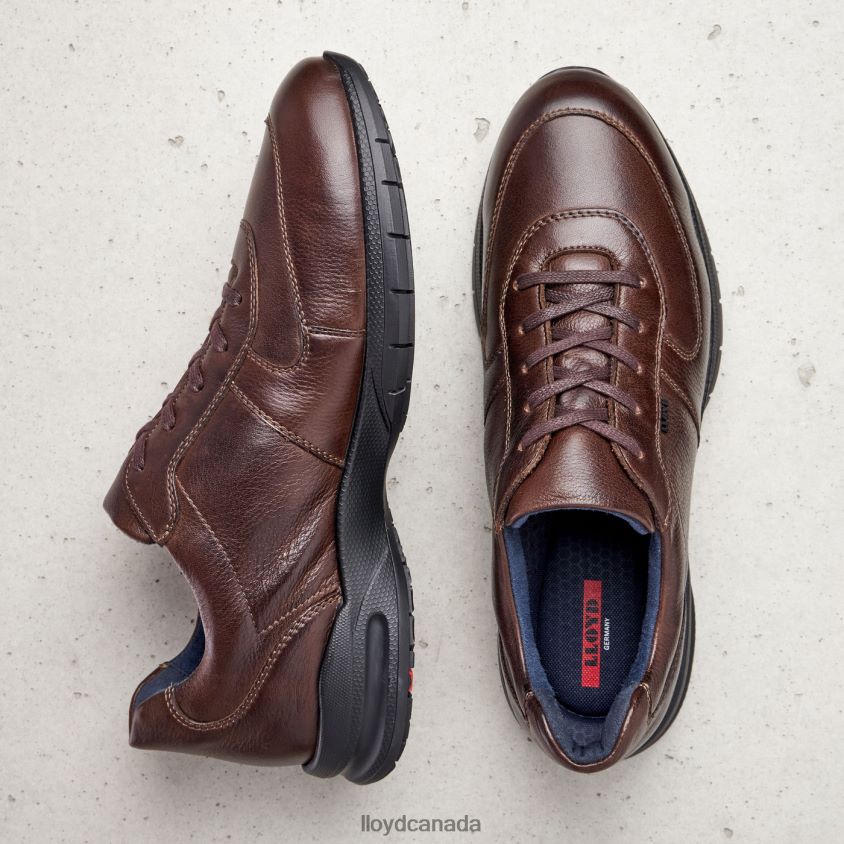 ABERDEEN LLOYD Men brown R084ZF387 Shoes