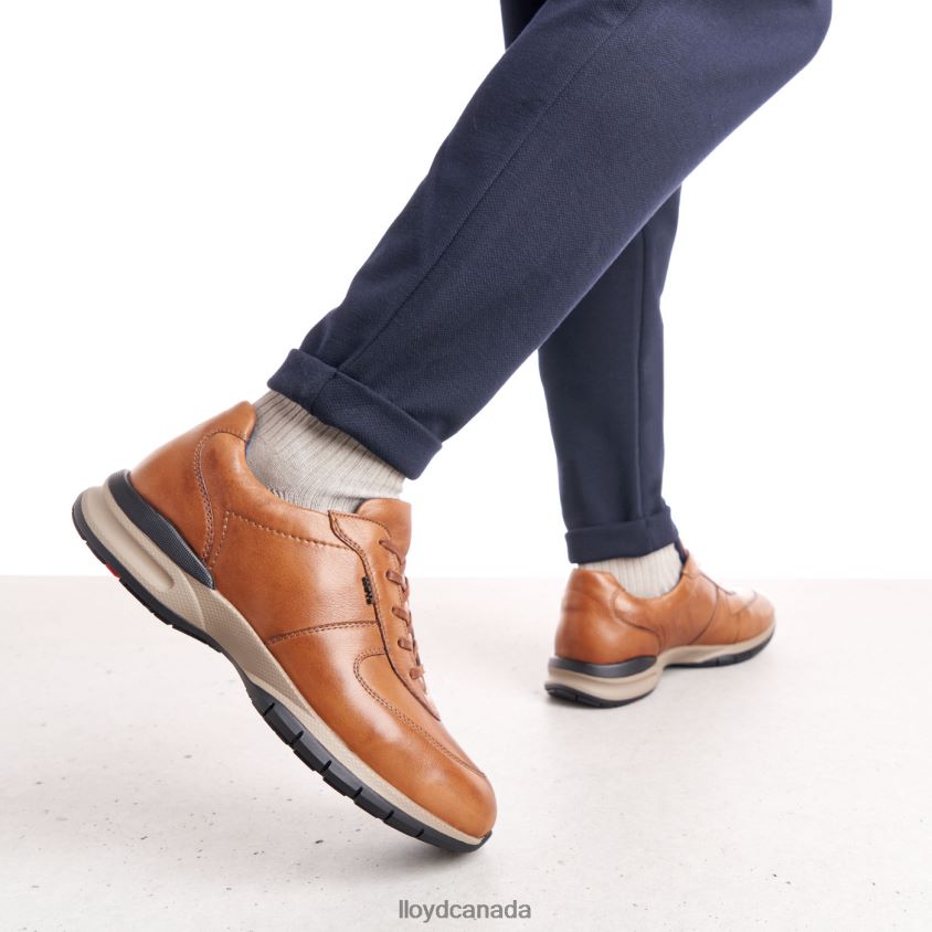 ABERDEEN LLOYD Men brown R084ZF392 Shoes