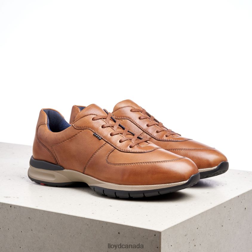 ABERDEEN LLOYD Men brown R084ZF392 Shoes