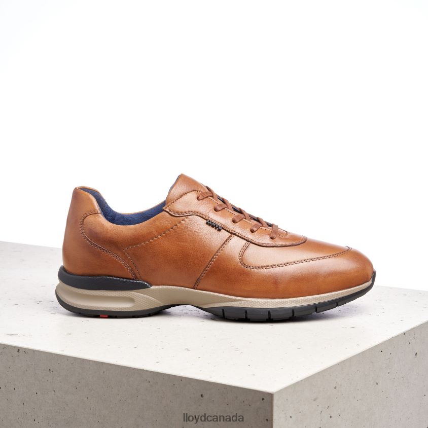 ABERDEEN LLOYD Men brown R084ZF392 Shoes