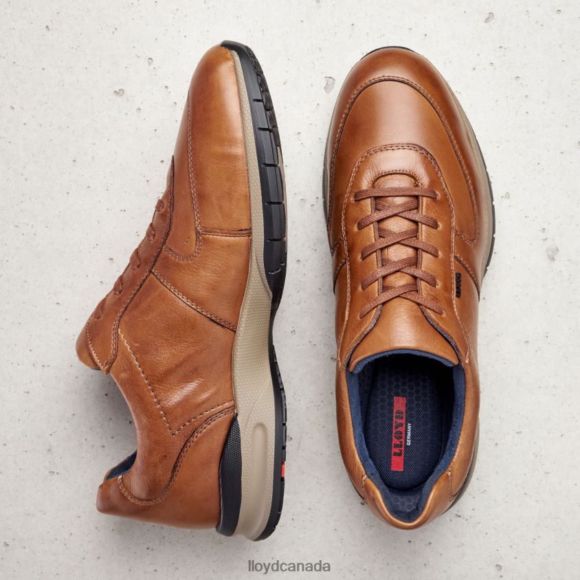 ABERDEEN LLOYD Men brown R084ZF392 Shoes