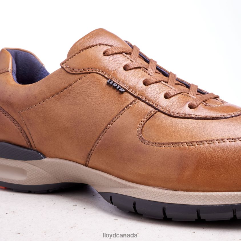ABERDEEN LLOYD Men brown R084ZF392 Shoes