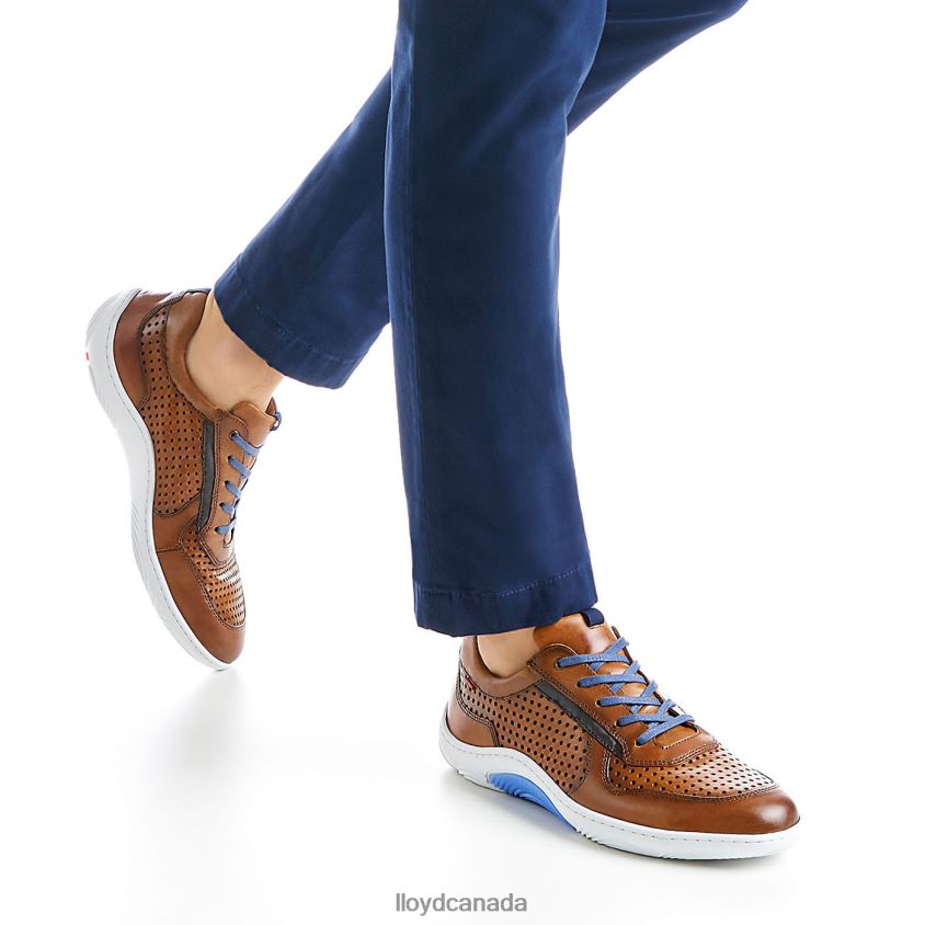 ABOTT LLOYD Men brown R084ZF415 Shoes