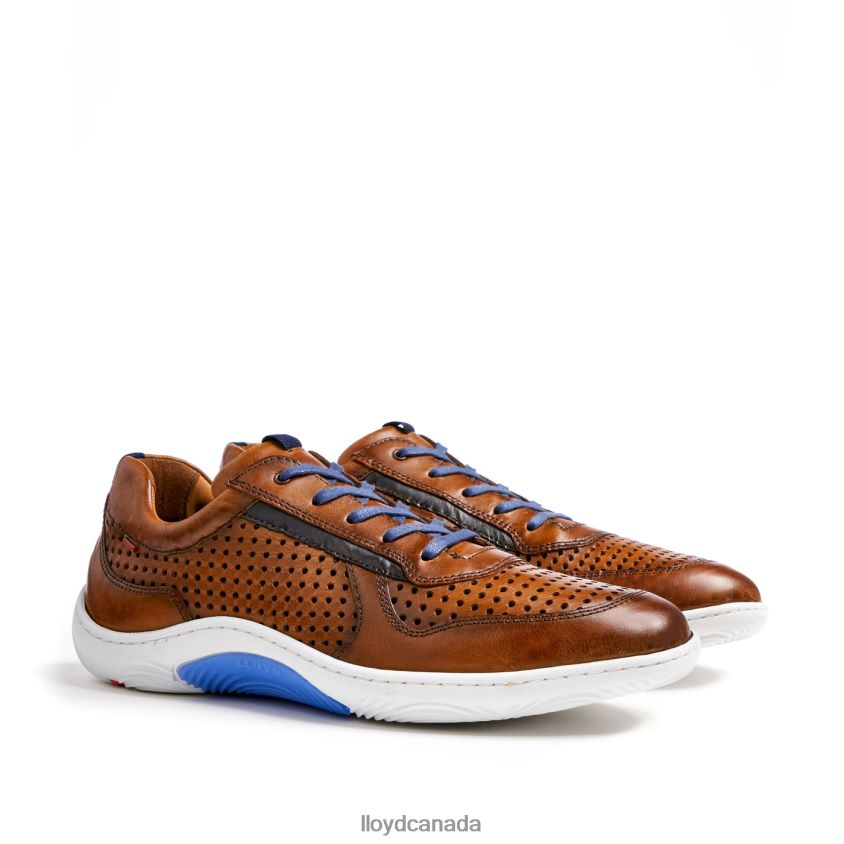 ABOTT LLOYD Men brown R084ZF415 Shoes