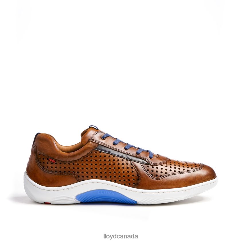 ABOTT LLOYD Men brown R084ZF415 Shoes