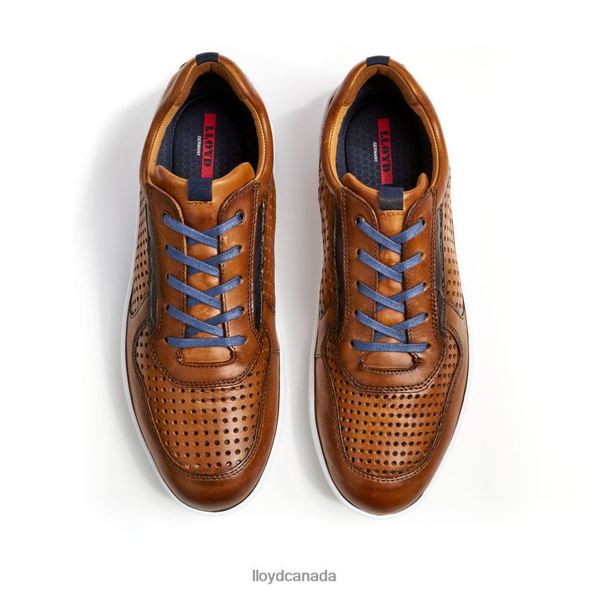 ABOTT LLOYD Men brown R084ZF415 Shoes