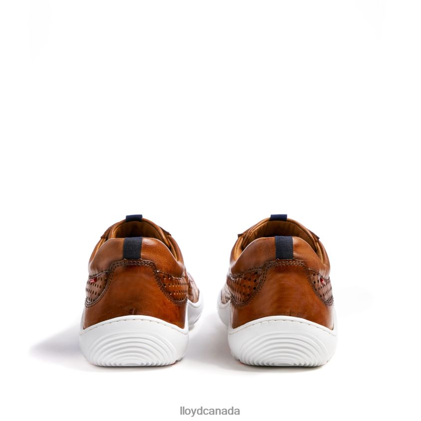 ABOTT LLOYD Men brown R084ZF415 Shoes