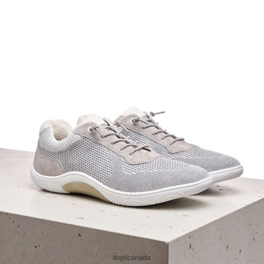 ADAMSON LLOYD Men grey R084ZF429 Shoes