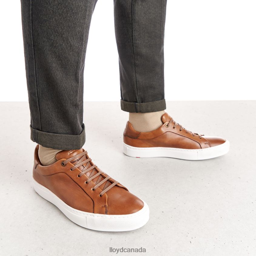 AJAN LLOYD Men brown R084ZF391 Shoes