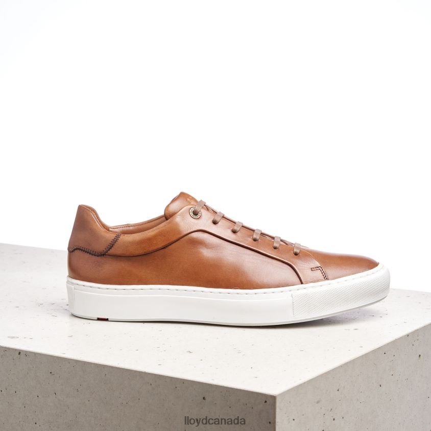 AJAN LLOYD Men brown R084ZF391 Shoes