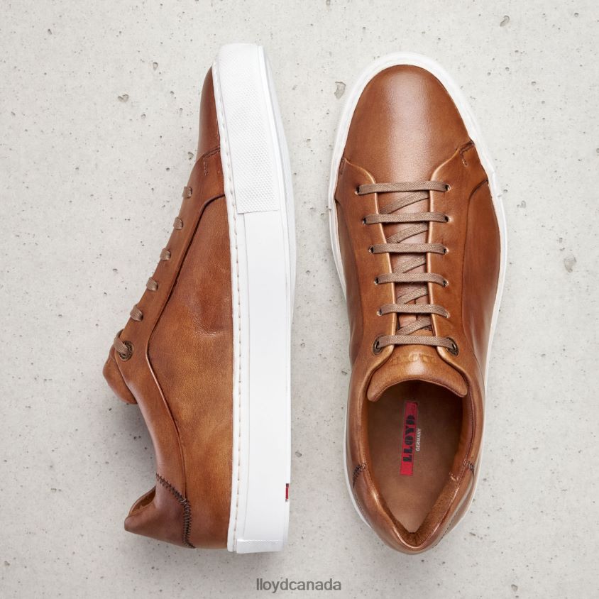 AJAN LLOYD Men brown R084ZF391 Shoes