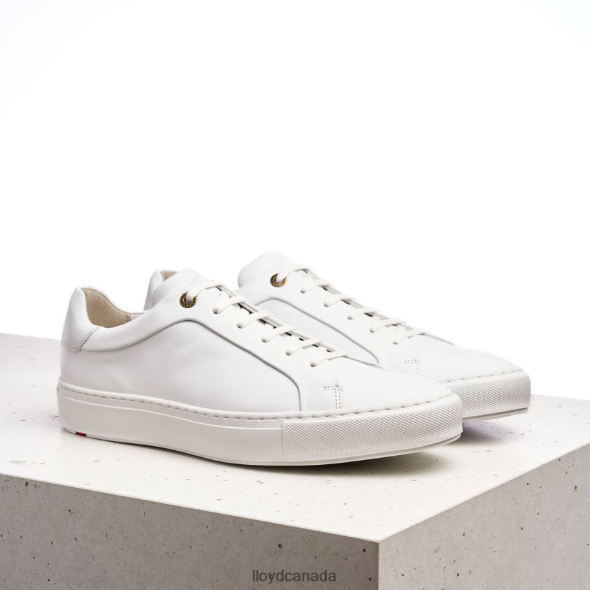 AJAN LLOYD Men white R084ZF1338 Shoes