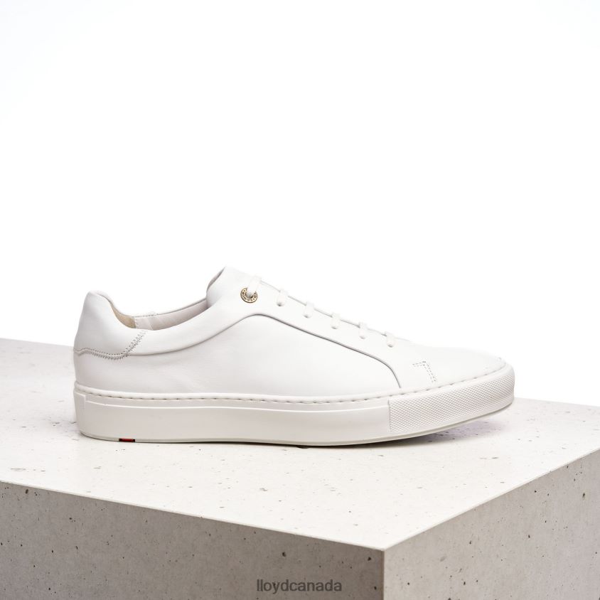 AJAN LLOYD Men white R084ZF1338 Shoes
