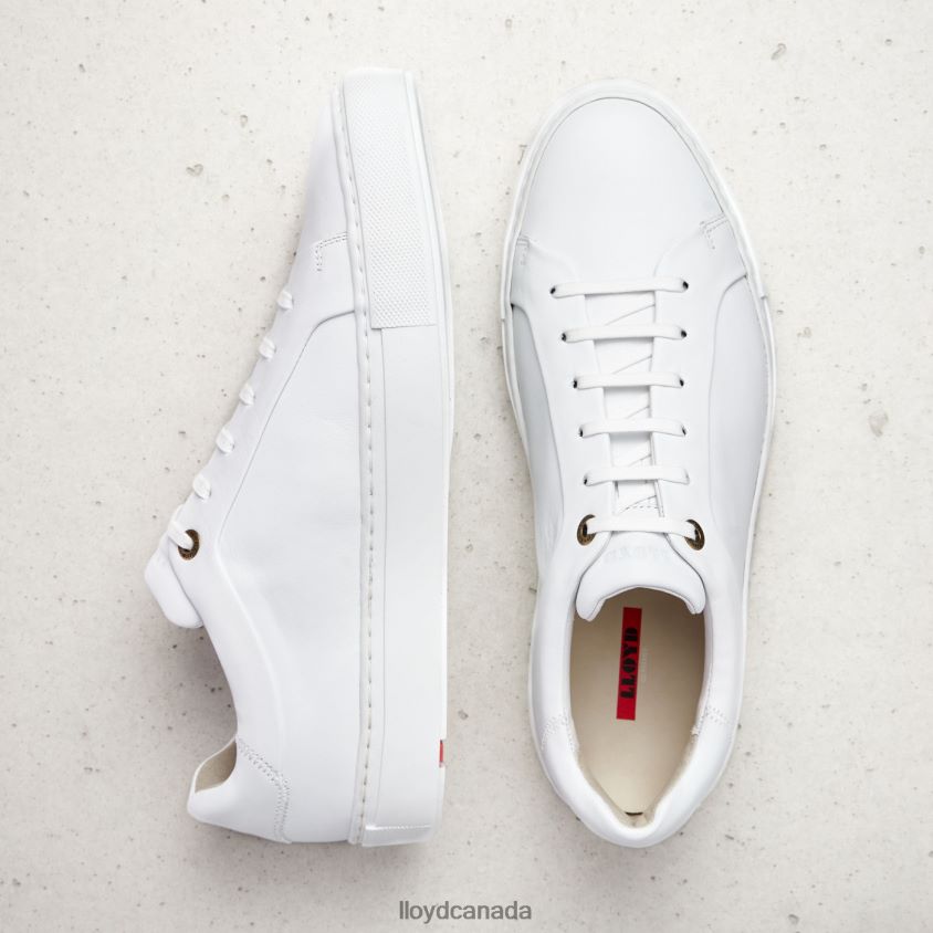 AJAN LLOYD Men white R084ZF1338 Shoes