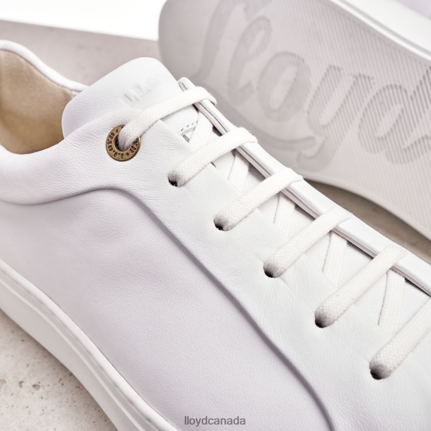 AJAN LLOYD Men white R084ZF1338 Shoes
