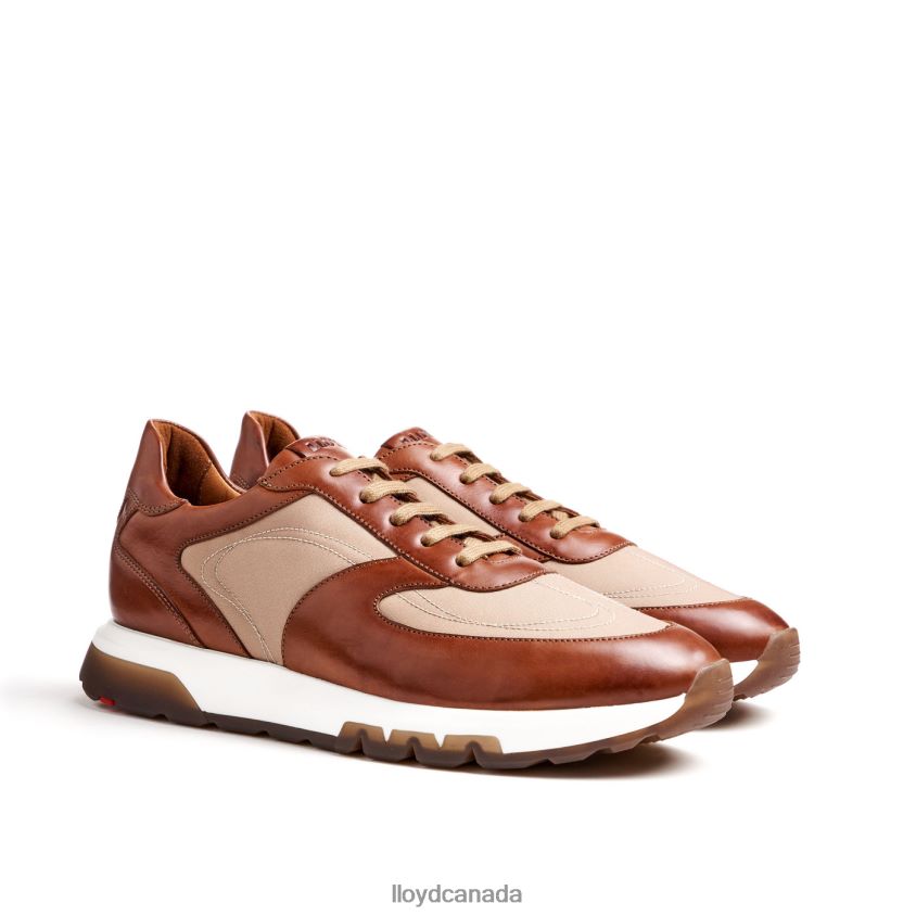 ALBANY LLOYD Men brown R084ZF1337 Shoes