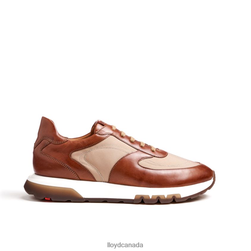 ALBANY LLOYD Men brown R084ZF1337 Shoes