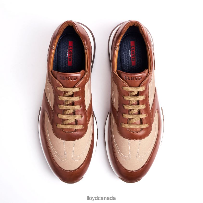 ALBANY LLOYD Men brown R084ZF1337 Shoes