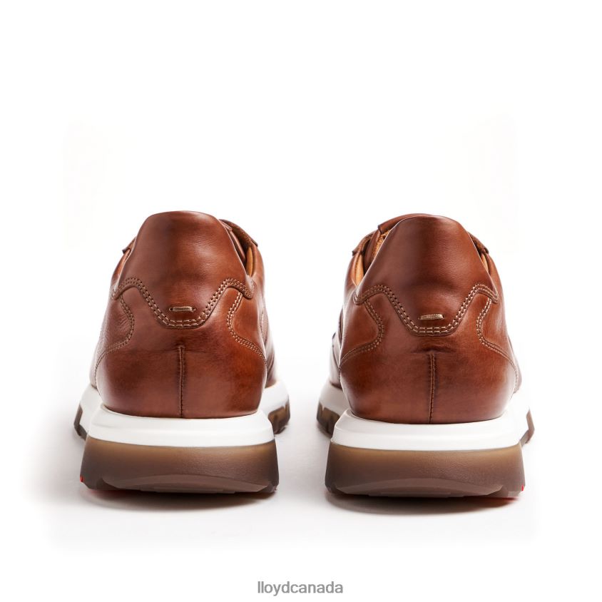 ALBANY LLOYD Men brown R084ZF1337 Shoes