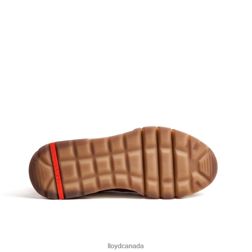 ALBANY LLOYD Men brown R084ZF1337 Shoes