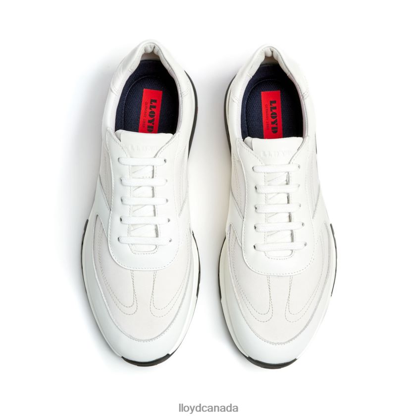 ALBANY LLOYD Men white R084ZF422 Shoes