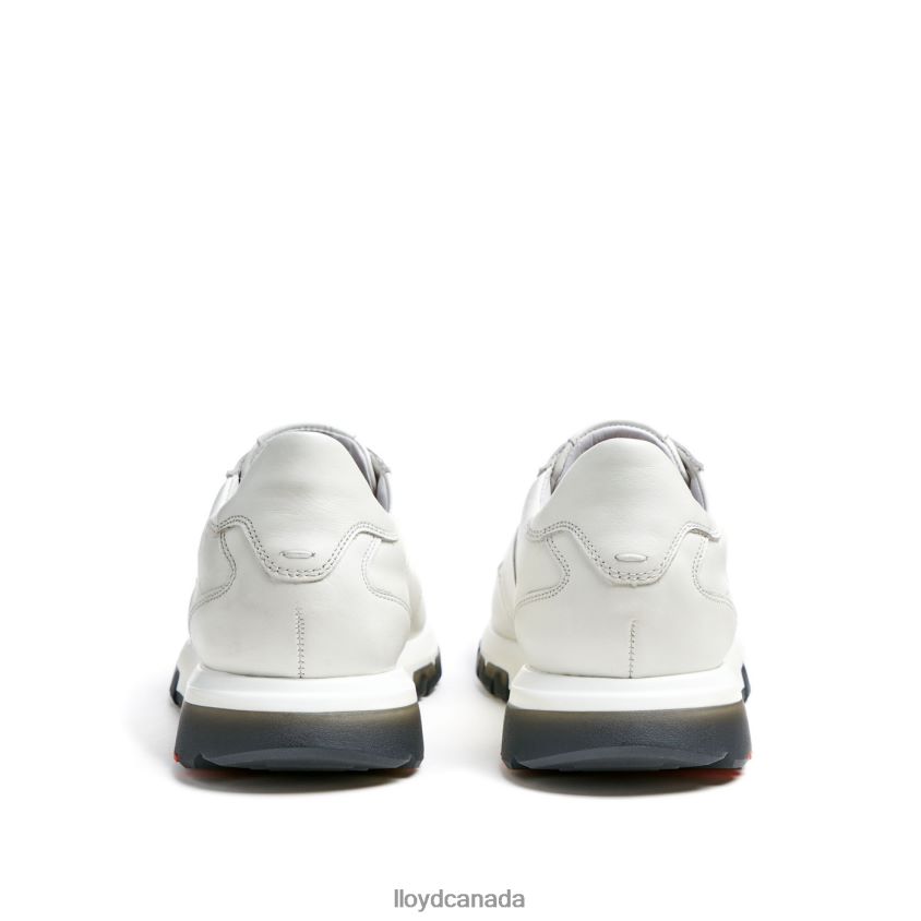 ALBANY LLOYD Men white R084ZF422 Shoes
