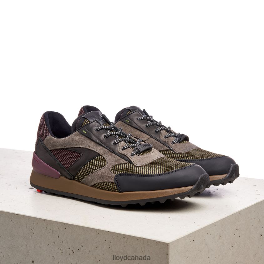 ALEXANDER LLOYD Men combined R084ZF424 Shoes