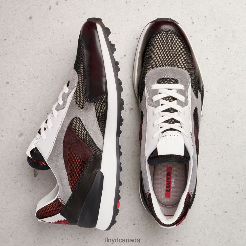 ALFA LLOYD Men combined R084ZF353 Shoes