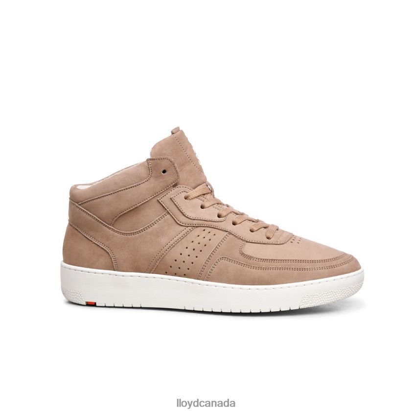 ALISTER LLOYD Men brown R084ZF385 Shoes