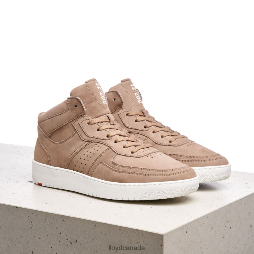 ALISTER LLOYD Men brown R084ZF385 Shoes